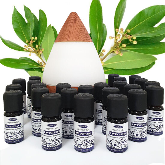 Etherische olie Ravintsar  (10 ml)